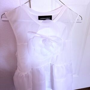 Organza Blouse